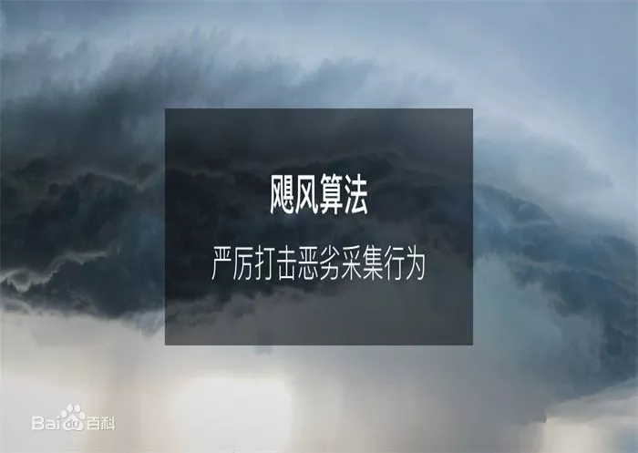 泰安網絡公司：颶風算法3.0已上線