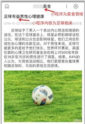 泰安網絡公司：颶風算法3.0已上線